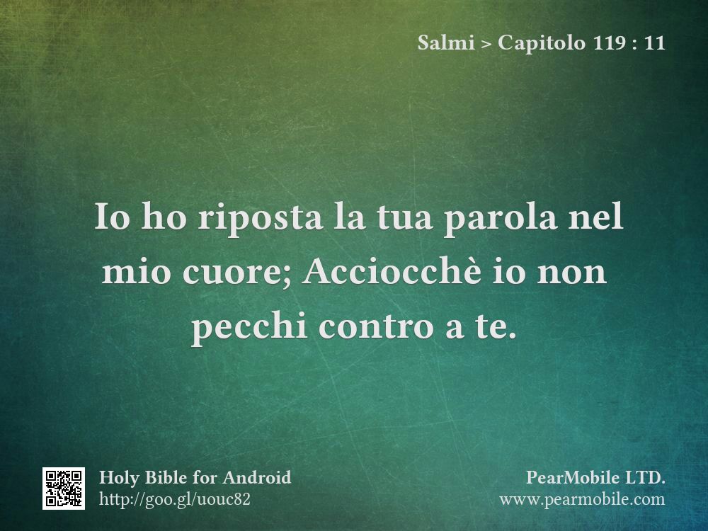 Salmi, Capitolo 119:11